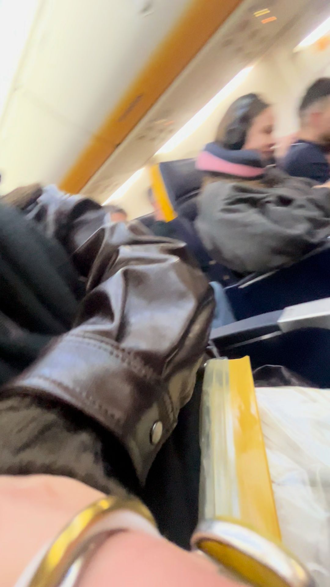 Couple in plane excited for travel